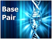 base-pair-logo.jpg